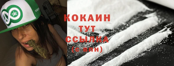 гидра Елабуга