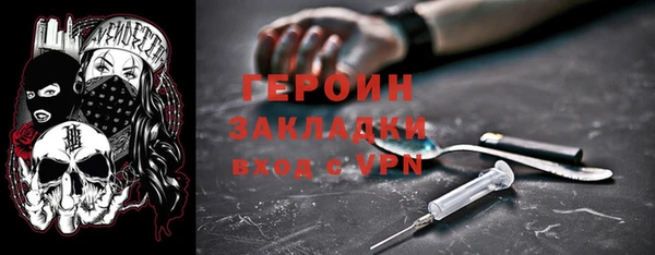 гидра Елабуга