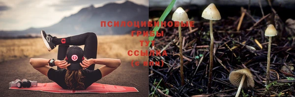 дживик Ельня