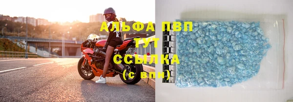 гидра Елабуга