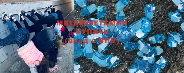 дживик Ельня
