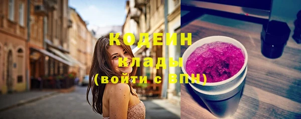 гидра Елабуга