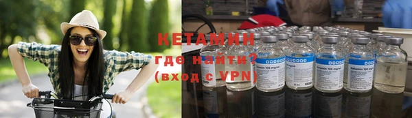 дживик Ельня