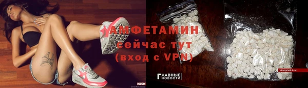 дживик Ельня