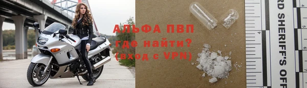 дживик Ельня