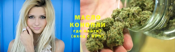 гидра Елабуга