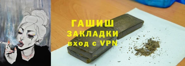 гидра Елабуга