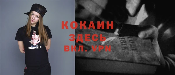 шишки Чекалин
