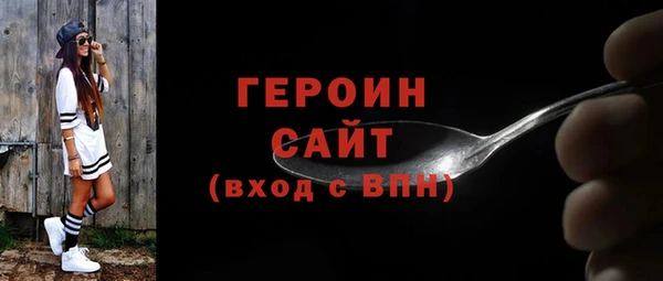дживик Ельня
