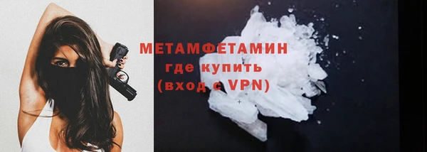 дживик Ельня