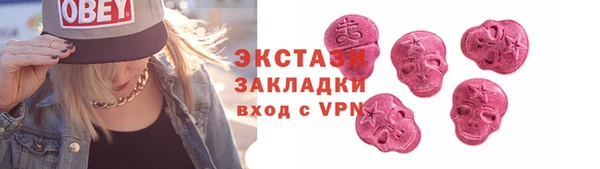 дживик Ельня