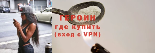 дживик Ельня
