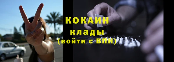 гидра Елабуга