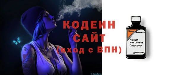 гидра Елабуга