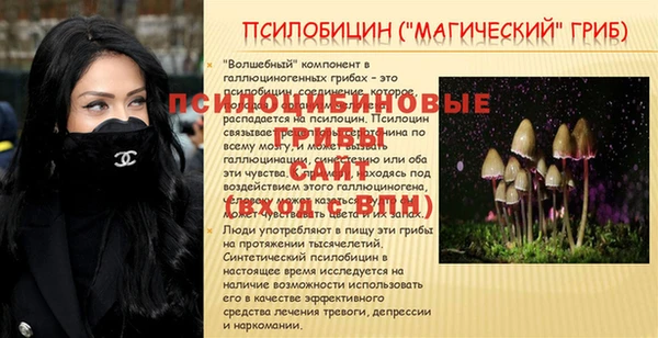 скорость Елизово