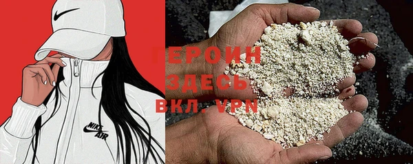 дживик Ельня