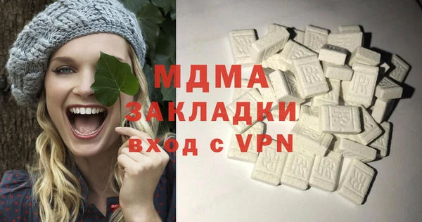 дживик Ельня