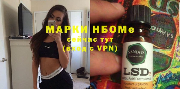 дживик Ельня